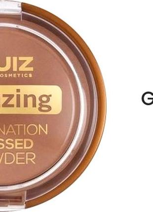 Бронзатор quiz bronzing illumination powder 01, 02 honey bronze 12 г3 фото