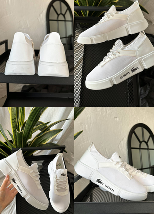 Lacoste white n