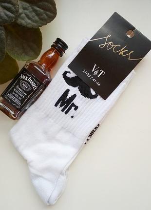 Чоловічі носки "містер"
