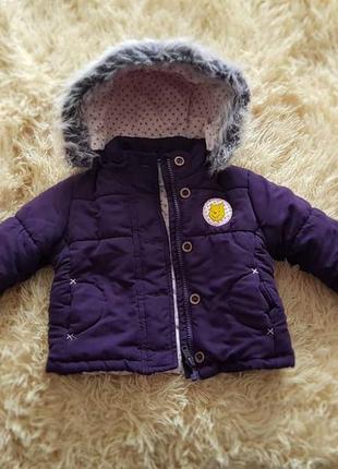 Курика демисезон