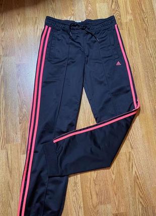 Спортивные штаны boston adidas