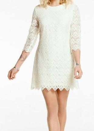 Ошатне мереживну сукню fearne cotton розмір 12