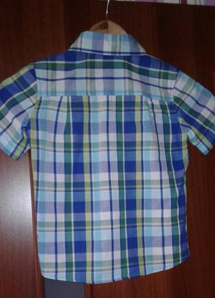 Рубашка с коротким рукавом, шведка gee jay 4/5 лет 110 см2 фото