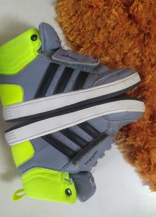Skechers 24 7