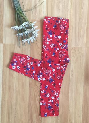 Нові фірмові жіночі tu малятку 1,5-2 роки.