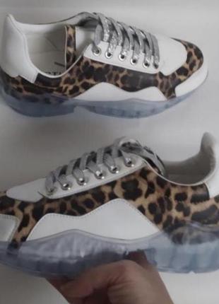 Кросiвки жiночi з принтом лео