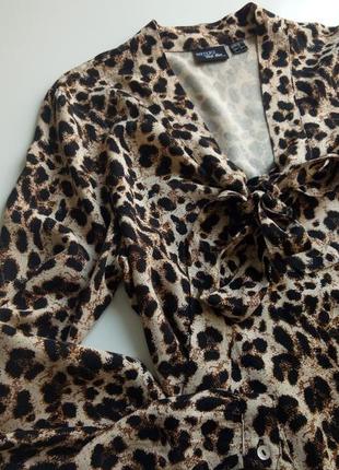Красивая блуза esmara из натуральной ткани в модный анималистичный принт3 фото