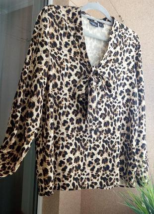 Красивая блуза esmara из натуральной ткани в модный анималистичный принт4 фото