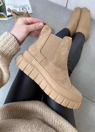 Любимцы челси в цвете капучино.