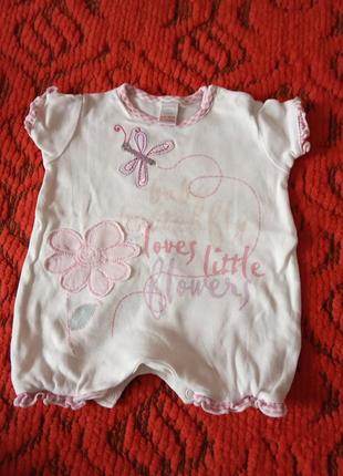 Пісочник next