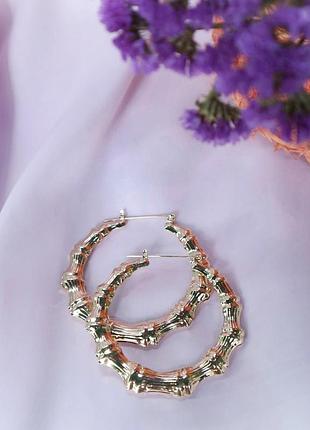 Сережки кільця.