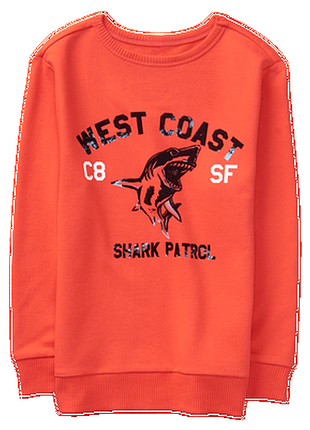 Толстовка для мальчика 4-6 лет crazy8