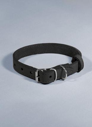 Ошейник кожаный "весна" ширина 25 мм, длина 36-46 см черный