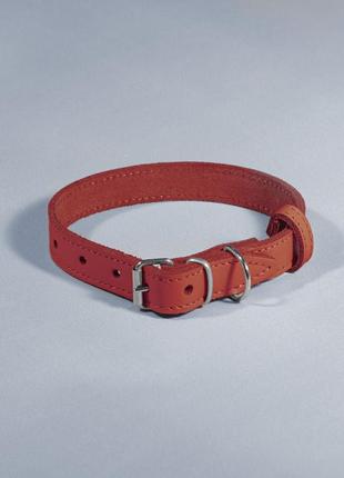 Кожаный ошейник для животных "весна", ширина 20 мм. длина 33-41см. красный
