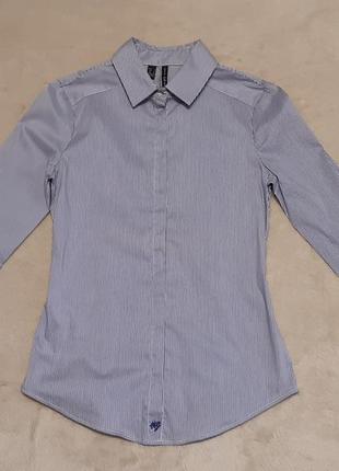 Рубашка силуэт оксфорд mango синяя мелкая полоска 6/84 фото