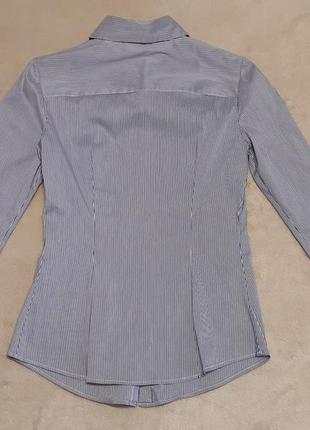 Сорочка силует оксфорд mango синя дрібна смужка   6/85 фото