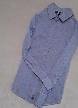 Рубашка силуэт оксфорд mango синяя мелкая полоска 6/89 фото