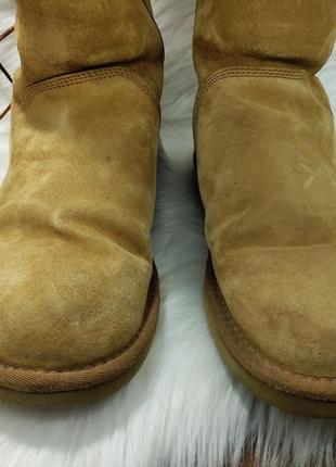 Натуральные высокие угги ugg australia на молнии ( 37 размер )3 фото