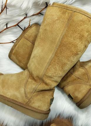 Натуральные высокие угги ugg australia на молнии ( 37 размер )2 фото