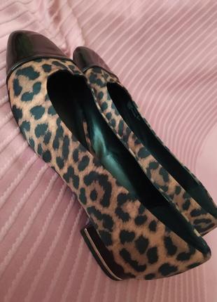 ♥️♥️♥️колекція 2023 леопардові туфлі фірмові чтильні5 фото
