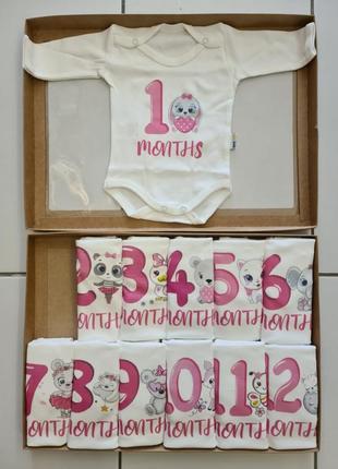Набір боді 1 - 12 місяців матеріал - інтерлок, 100% бавовна виробник - турція.
