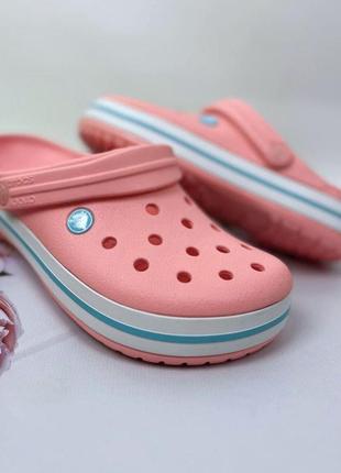 Жіночі крокси сабо crocs crocband original melon ice /blue1 фото