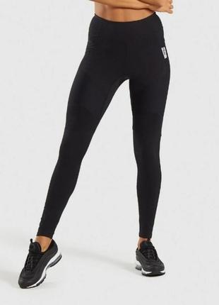 Лосини gymshark