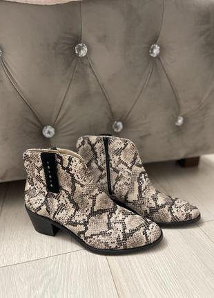Черевики - козаки шкіряні clarks