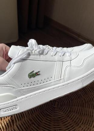 Кросівки lacoste