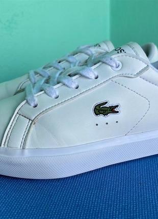 Кросівки lacoste powercourt