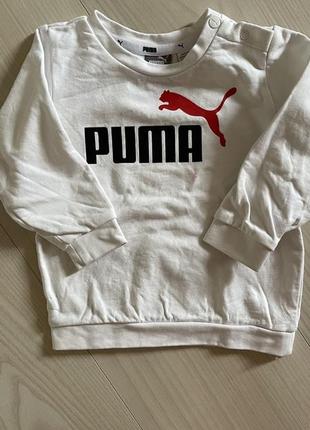 Оригинальный костюм puma