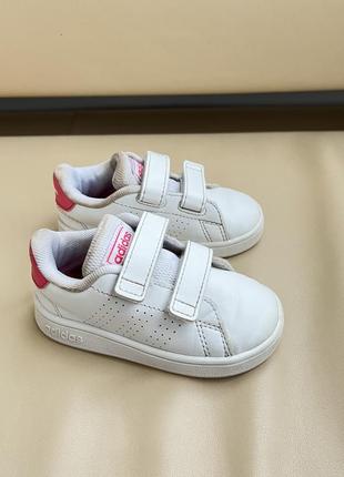 Кеди adidas 6