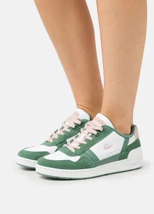 Кросівки lacoste