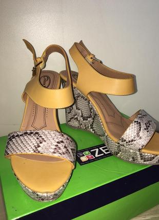 Туфлі. босоніжки