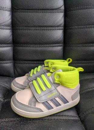 Кеди adidas