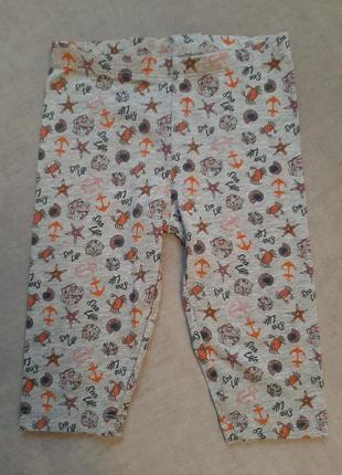 Велосипедки