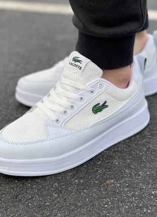 Кросівки lacoste
