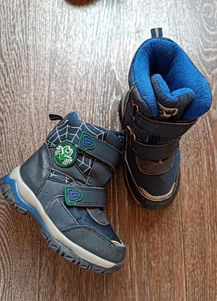 Чоботи сапоги tomm