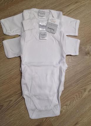 Набор бодиков