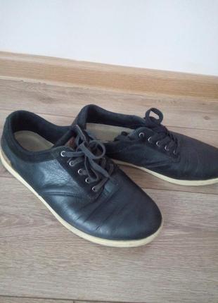 Кроссовки lacoste!