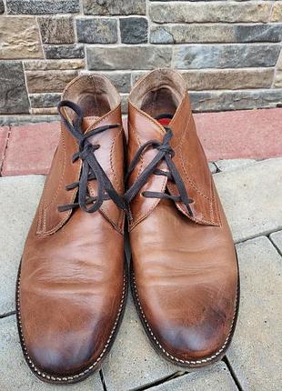 Strellson черевики