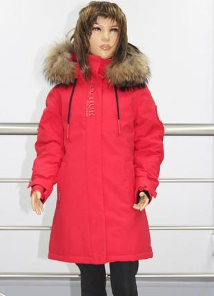 Парка підліткова high experience ( розміри в наявності: 128\134 152\158 158\164 164\170 )