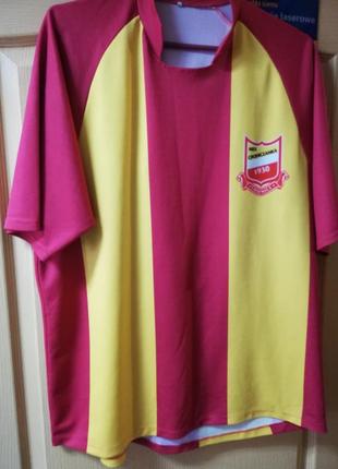 Спортивнаяя яркая футболка реглан xxl