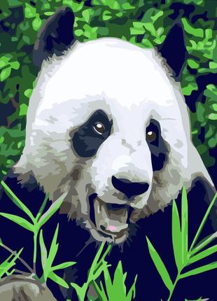 Картина по номерам голодная панда 40х50см strateg