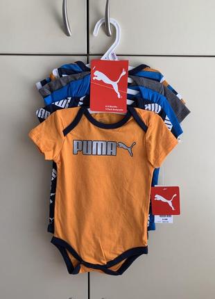 Бодики puma