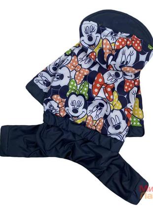 Дощовик для собак одяг