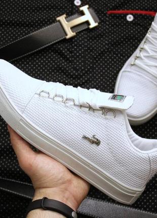 Справжній хіт продажів , lacoste, power 8