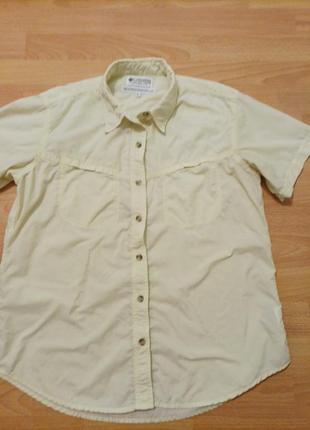 Рубашка блуза оригинал