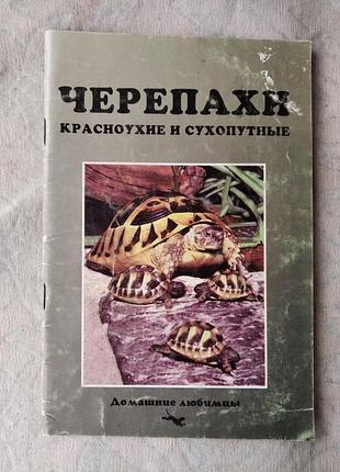 Черепахи красноухие и чухопутные