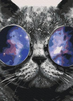 Картина по номерам кот в очках 40 х 50 см brushme котик на маями bs29637 melmil1 фото